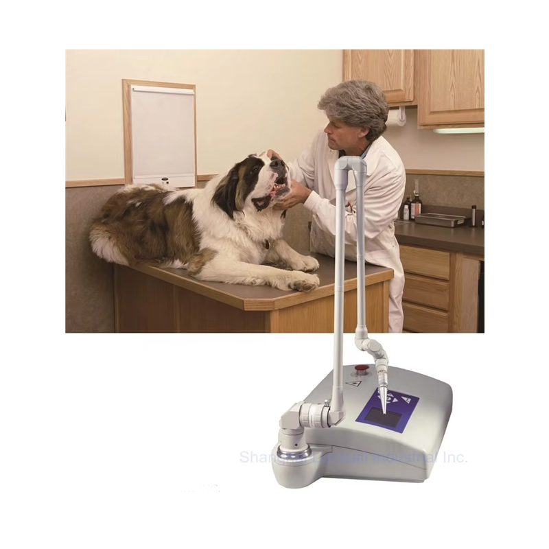 Co2 Fractional Laser Machine Clinic - جهاز ليزر CO2 جراحي محمول بقوة